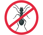 Comment éliminerles fourmis